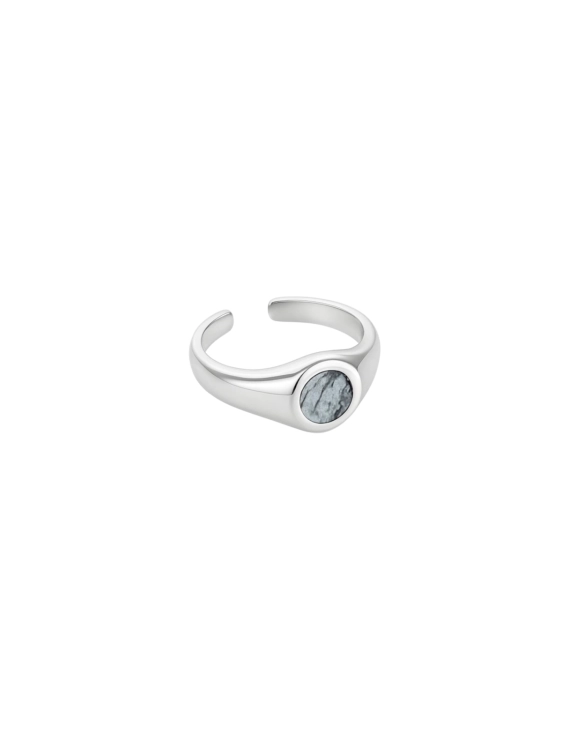Dolomite Picasso signet ring.webp