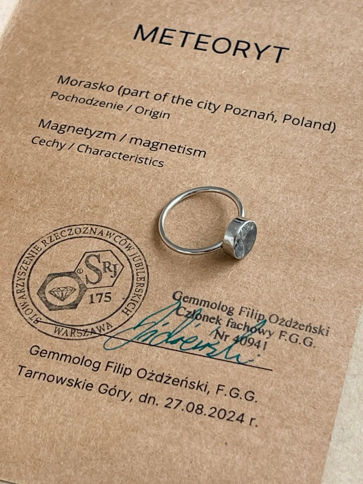Meteorite Engagement Ring