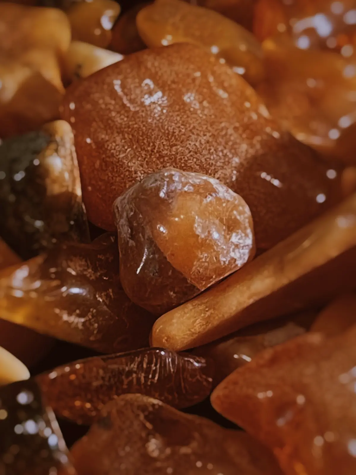Baltic Amber